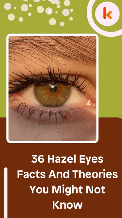 36 Hazel Eyes Facts And Theories You Might Not Know Blue Eye Makeup Hazel Eyes, Cool Hazel Eyes, Hair Colors For Hazel Eyes And Olive Skin, Eye Makeup For Brown Hazel Eyes, Dark Brown Green Eyes, Hazel Eyes Facts, Hazel Eye Color Palette, Hazel Eyes Close Up, Chuck Hazel Eyes