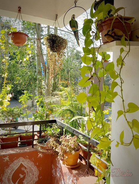 Indian Balcony Garden Boho, Home Décor, Balcony Garden, Balcony Decor, Balcony Plants, Outdoor Patio Decor, Garden Ideas India, Garden Seating, Apartment Balcony Garden