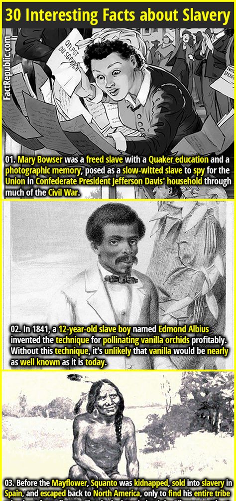 Inspiration, People, Black History Facts, Black History Education, Black History Books, African History Truths, Weird History Facts, Unusual Facts, Black History