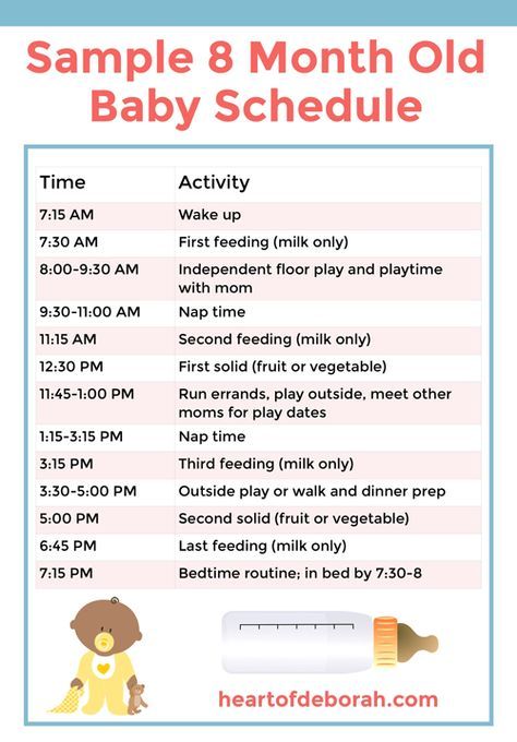 Sample baby schedule for sleeping and eating. Based on an 8 month old baby's routine. #baby #sleepschedule #sleeptraining #babysleep 8 Month Old Schedule, 8 Month Old Baby Food, Baby Food Schedule, 8 Month Baby, 8 Month Old Baby, Baby Meals, 7 Month Old Baby, 8 Month Old, Baby Food Chart