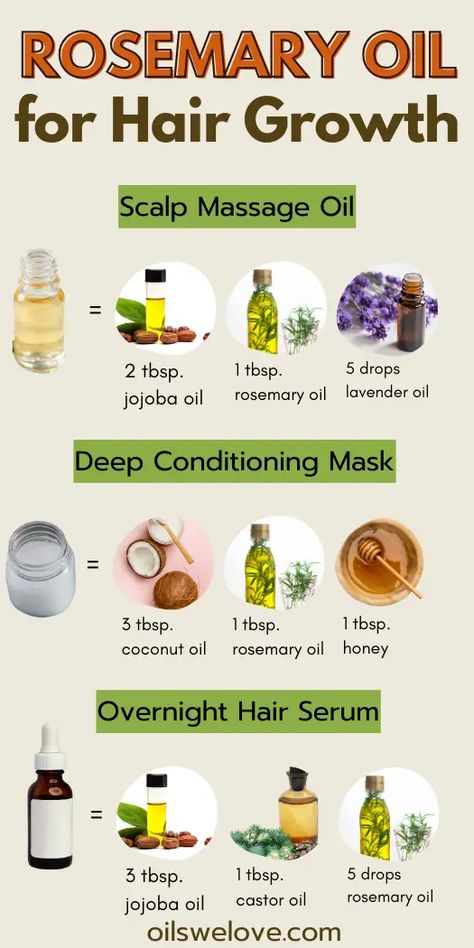 Using Rosemary Oil for Healthy Hair Growth | Oils we love Rosemary Oil Hair Growth, Rosemary Oil For Hair, Essential Oil Hair Growth, Essential Oils For Hair, Herbs For Hair Growth, Scalp Health, Rosemary Hair Growth, Rosemary For Hair, Herbs For Hair