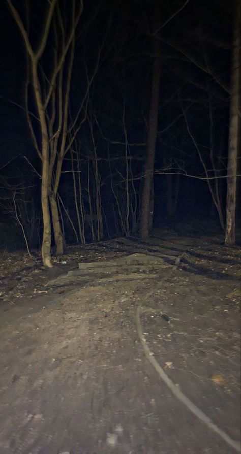 dark scary forest Films, Nature, Night Forest, Night Aesthetic, Night Terror, Dark Forest, Forest At Night, Night, Forest Photos