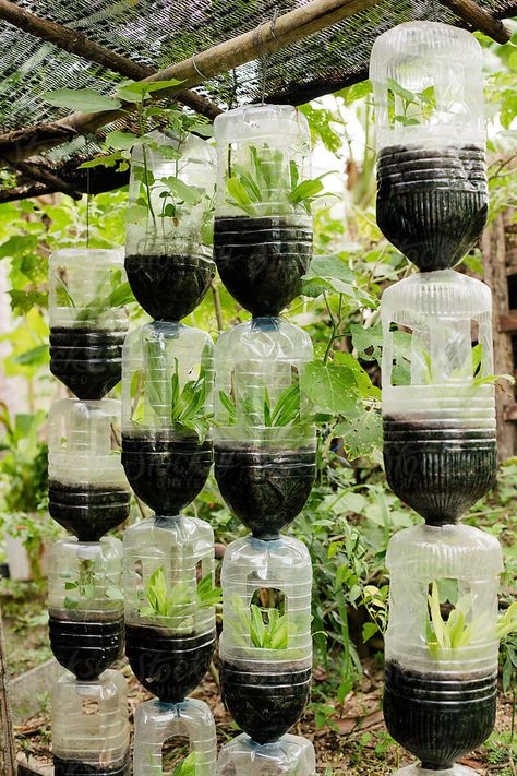 How To Reuse Plastic Bottles For Gardening - Engineering Discoveries Container Gardening, Recycle Water Bottles, Recycle Plastic Bottles, Reuse Plastic Bottles, Uses For Plastic Bottles, Plastic Bottle Planter, Recycled Garden, Bottle Garden, Plastic Bottles