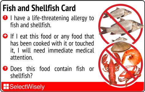 Seafood, Health, Shellfish Allergy, Food Intolerance, Food Allergies, Dairy Intolerance, Special Diets, Peanut Allergy, Allergies