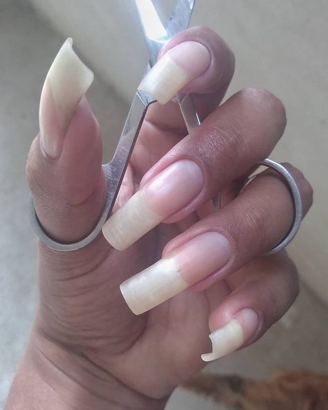 Learn how to care for your nails to encourage growth and strength. Acrylic Nail Designs, Nails Only, French Tip Nails, Square Nails, Nice Nails, Perfect Nails, Long French Tip Nails, Natural Nails, Unique Nails