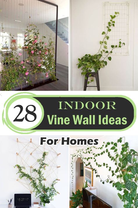 Try out these stunning Indoor Wall Vine Ideas For Your Home and revamp your interiors with a touch of greenery! Decoration, Yoga, Halloween, Ideas, Indore, Indoor Plant Trellis, Hanging Plants Indoor, Plants On Wall Indoor, Indoor Trellis