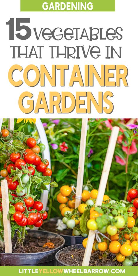 Gardening, Outdoor, Vegetable Garden Container Ideas, Vegetable Garden In Containers, Vegetable Garden Beds, Vegetable Garden Tips, Vegetable Garden For Beginners, Vegetable Garden Raised Beds, Small Vegetable Gardens
