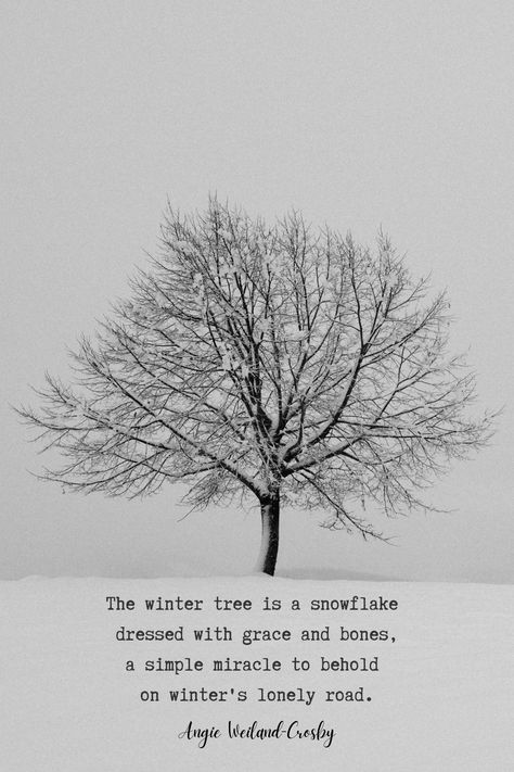 Nature Quotes for the Winter Season | Nature Photography of a lone tree in beautiful snowfall by Fabian Betto | "The winter tree is a snowflake dressed with grace and bones, a simple miracle to behold on winter's lonely road." Angie Weiland-Crosby #quotes #winterquotes #naturequotes #snowquotes #naturephotography #snow #tree #fabianbetto #blogging #winter #soul #love #naturelovers #angieweilandcrosby #momsoulsoothers Winter, Inspiration, Snow Quotes, Winter Quotes, Nature Quotes Inspirational, Weather Quotes, Winter Poetry, Mountain Quotes, Nature Quotes