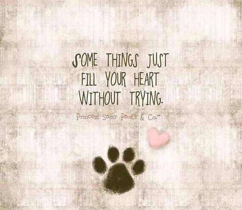 Some things fill your heart without even trying Humour, Dog Quotes, Sayings, Dogs, Labrador, Quotes, I Love Dogs, Dog Love, Puppy Love