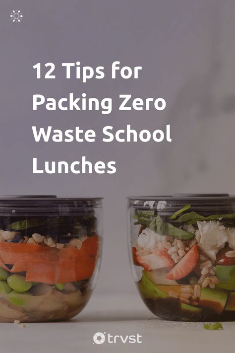 "12 Tips for Packing Zero Waste School Lunches"- When it comes to school lunches, a parent's top concern is that their kids have enough to eat. So they fill their children's lunch boxes with food and drinks. Zero-waste school lunches are better for the environment and are such a great way to get your... #trvst #inspiration #sustainableliving #environment #waste #planet #food #zerowaste #mothernature #earth #greenliving #climatechange #socialimpact Lunches, Inspiration, Snacks, Zero, Packing School Lunches, Zero Waste Lunch, School Lunches, Lunch Boxes, Zero Waste Lifestyle