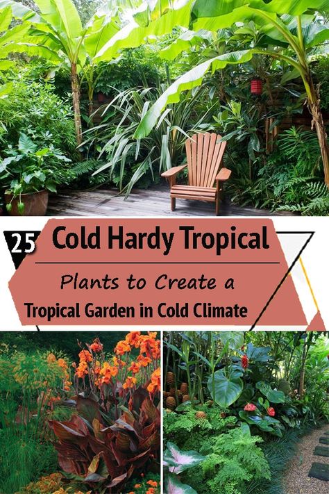 Outdoor, Gardening, Small Tropical Garden Ideas Uk, Tropical Potted Plants Around Pool, Small Tropical Gardens, Tropical Pool Landscaping, Tropical Backyard Landscaping, Garden Plants Uk, Tropical House Plants