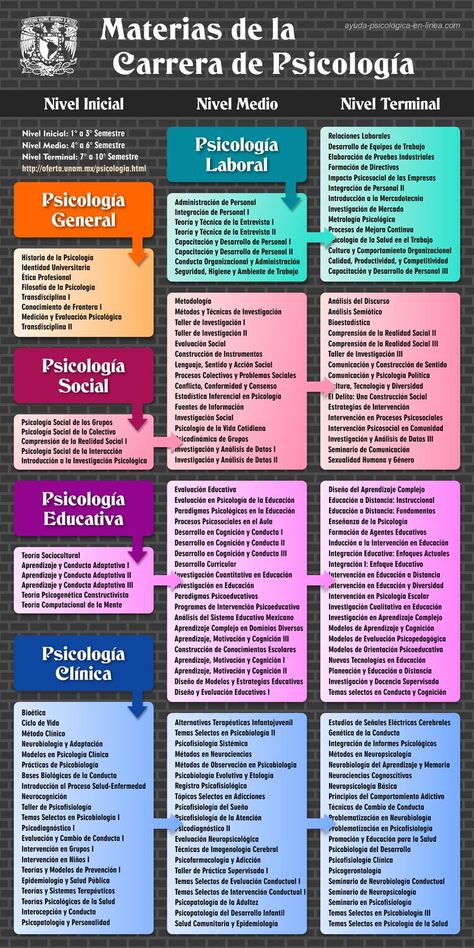 Education, School Psychology, Neuro, Medical School, Psicologia, Medical School Motivation, Psychology Studies, Medicine, Psychology Notes