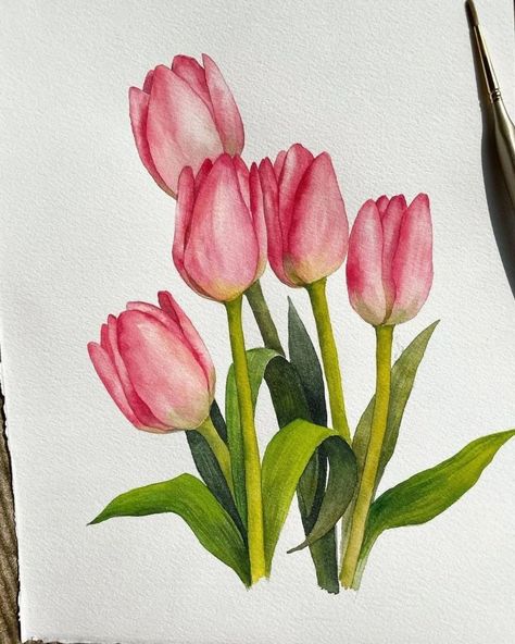 Watercolour Flowers, Kunst, Watercolor Artists, Watercolor Flower Art, Watercolor Flowers, Watercolor Tulips, Flower Art Drawing, Flower Art, Tulip Drawing