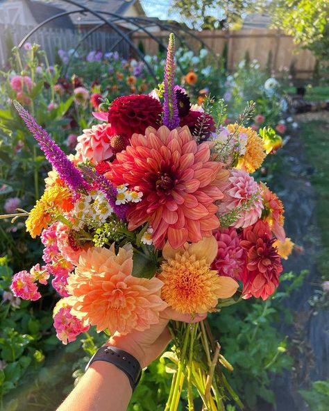All Posts • Instagram Wedding Flowers, Beautiful Bouquet, Hochzeit, Zinnia Wedding Bouquet, Hoa, Jardim, Rosas, Cut Flowers, Beautiful Flowers