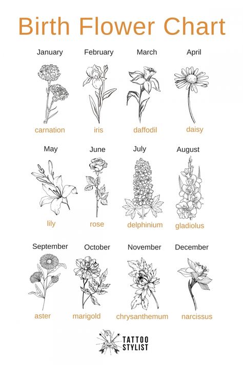 Birth Flower Chart infographic Tattoo Designs, Floral, Tattoos, Tattoo, Birth Flower Tattoos, April Birth Tattoo Ideas, Flower Month Tattoo Ideas, December Flower Tattoo, December Birth Flower