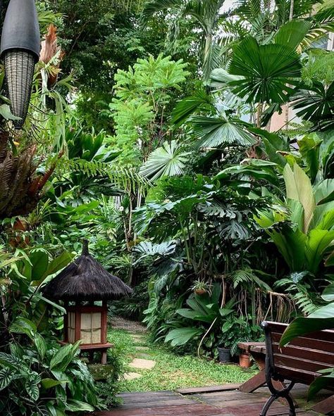 Here are some Crazy Tropical Garden Bed Ideas You'd Like to Copy! Transform your garden for that beachy vibe today! Gardening, Garden Pond, Outdoor, Small Tropical Garden Ideas Uk, Tropical Backyard, Tropical Patio, Tropical Backyard Landscaping, Small Jungle Garden Ideas, Small Tropical Gardens