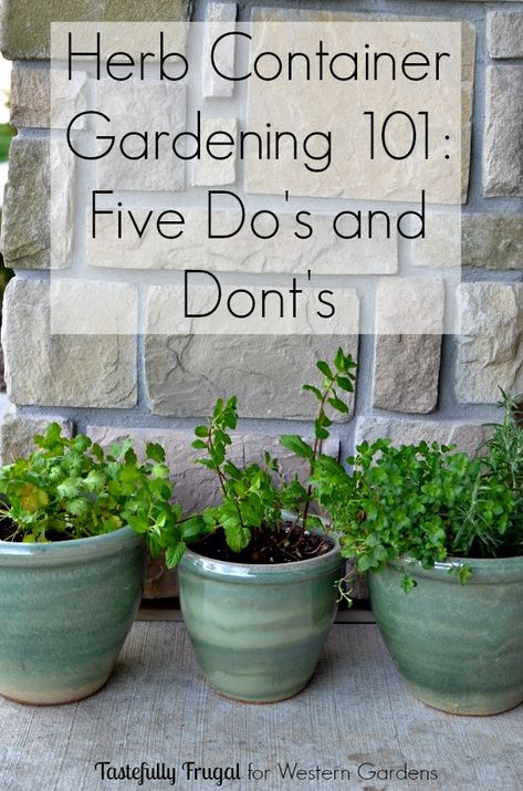 Want to start an herb garden? Here are 5 Dos and Don'ts to help get you started! Vegetable Garden, Shaded Garden, Herb Garden, Gardening, Container Herb Garden, Gardening Tips, Herbs Indoors, Planting Herbs, Container Gardening 101