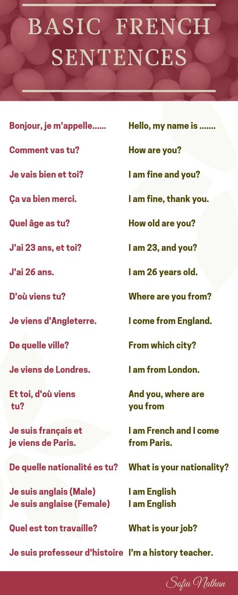#frenchlanguage #ais #learnfrench #french #fran #france #speakfrench #frenchwords #frenchvocabulary #learningfrench #ilovefrench #apprendrelefran #fle #aise #studyfrench #frenchlesson #frenchclass #languagelearning #francais #learnfrenchonline #frenchteacher #frenchlearning #franc #parlerfran #language #s #languefran #francophile #frenchgrammar #delf Paris, English, Useful French Phrases, Common French Phrases, French Language Basics, French Language Lessons, Common French Words, French Conversation, French Verbs