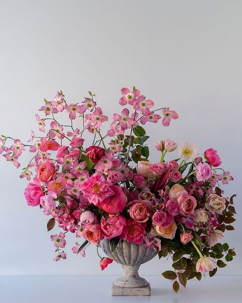 Nice, Floral, Pink, Beautiful, Hoa, Beautiful Flowers, Pretty Flowers, Bunga, Bloemen