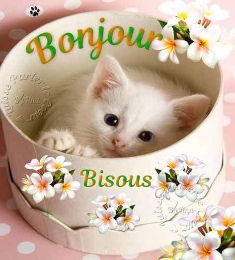 Buongiorno, Images Bonjour, Happy Friendship, Bonjour, Gif, Happy Friendship Day, Frases, Buenos Dias, Emoji