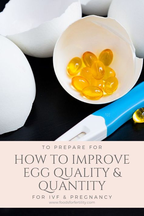 Fitness, Egg Fertilization, Egg Health, Fertility Foods, Egg Quality, Fertility Health, Improve Fertility, Ivf Diet, Fertility Diet
