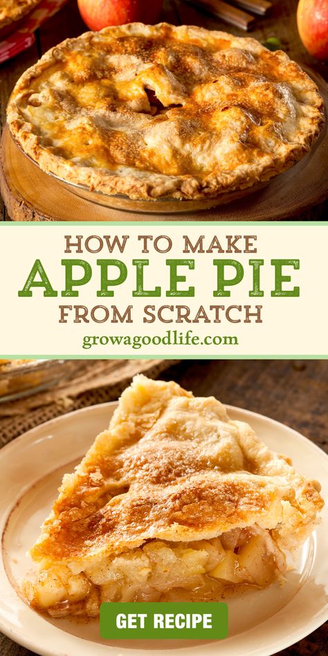 Fruit, Desserts, Foodies, Apple Pie, Cake, Dessert, Snacks, Thanksgiving, Recipe For Apple Pie