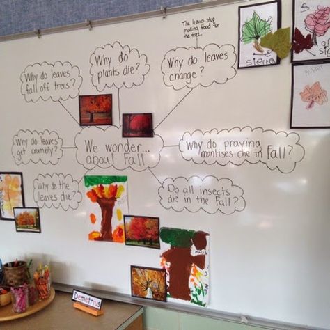 Inquiring Minds: Mrs. Myers' Kindergarten: The Autumn Season: Exploring Trees and Leaves and the Colors of Fall! Pre K, Organisation, Writing Center, Childhood Education, Inquiry Project, Inquiry Learning, Inquiry Based Learning, Science Inquiry, Inquiry