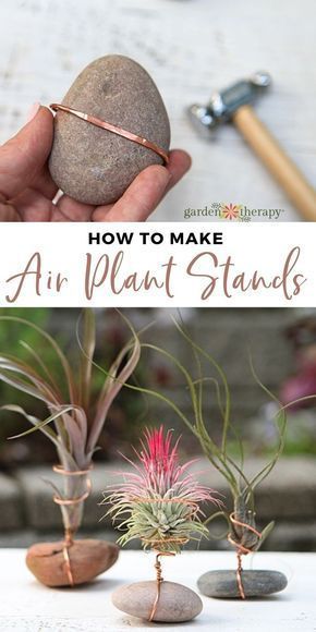 Air Plants Diy, Kaktus Dan Sukulen, Air Plants Decor, Thing To Make, نباتات منزلية, Wire Diy, Air Plant Display, Deco Nature, Air Plant Holder