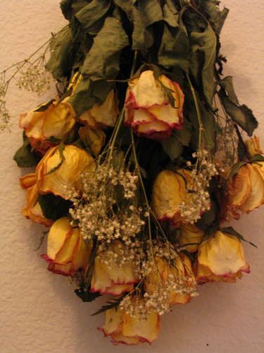 What's better then flowers?...Dried Flowers Roses, Diy, Ale, Preserved Roses, Dried Flower Bouquet, Pressed Flowers, Fresh Flower Bouquets, Dried Flowers, Flowers Bouquet