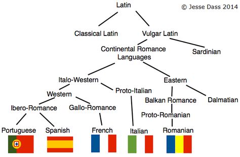 The Roman Empire conquered a large portion of Europe, they brought their language Latin, along with them. It was spoken throughout the empire but over the centuries, local, popular, nonstandard forms of Latin called 'Vulgar Latin' evolved into today's Romance languages.   Image by KayYen  There are 5 major Romance languages (Italian, French, Spanish, Portuguese and Romanian) and several minority Romance languages (such as Sardinian, Sicilian and Occitan). Romance languages are spl... Classical Latin, Latin Grammar, Latin Language, Spanish, Learn Brazilian Portuguese, Portuguese, Learn Portuguese, Italia