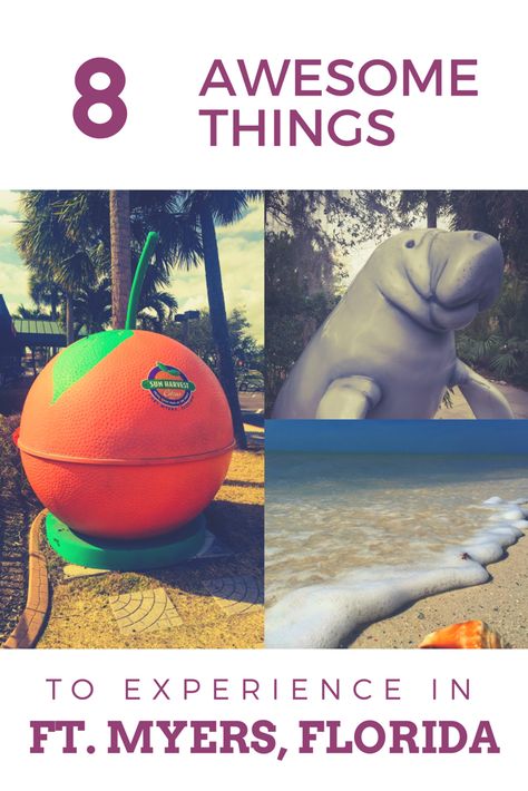 Check out these hidden Gems in Ft. Myers Florida!  #floridatravel #ftmyersflorida #whattodoinftmyers #hiddengems #florida #whattodoinflorida Wanderlust, Sanibel Island, Summer, Florida, Vacation Ideas, Travel Destinations, Fort Myers Beach Florida, Fort Myers Florida, Fort Myers Beach
