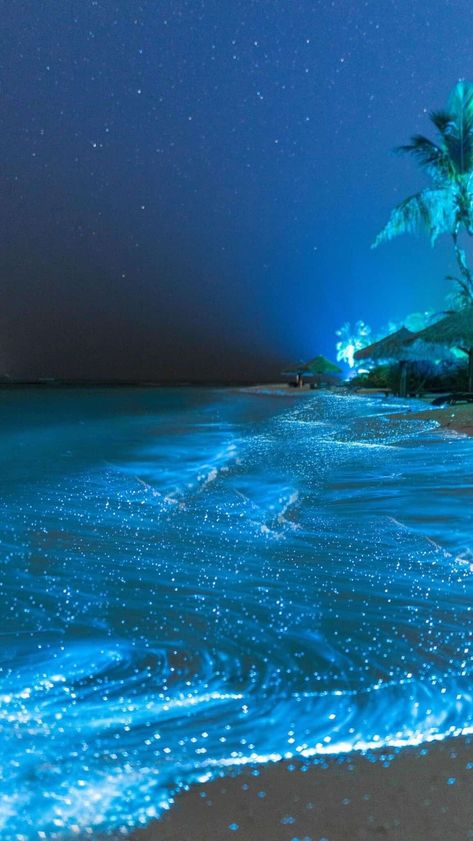 Visit the #GlowingBeach on the Vaadhoo Island in the Maldives. The bioluminescent phytoplankton in the water create an ethereal, starry night effect on the shore, a romantic sight that's perfect for a moonlit walk. #RomanticDestinations #NaturalWonders #TravelFact Nature, The Ocean, Ocean Night, Ocean At Night, Ocean Water, Ocean Pictures, Sea Of Stars, Sea, Ocean