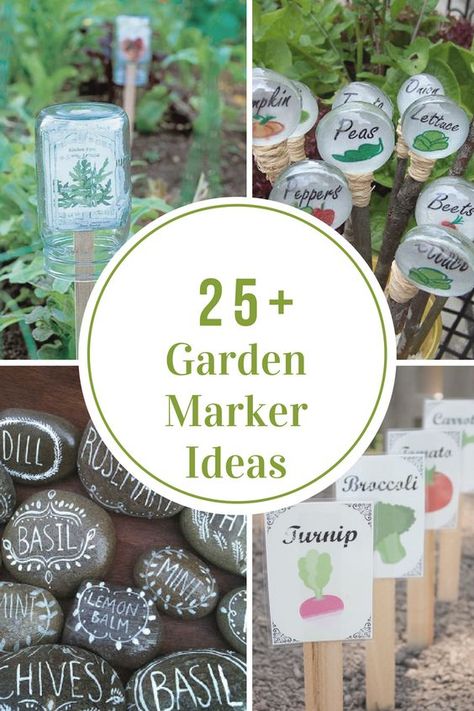 How do you identify your plants in the garden after you have planted the seed? I usually use Garden Markers to help me to know what plants are what. Outdoor, Diy, Herb Garden, Garden Plant Markers, Garden Seeds, Vertical Herb Garden, Vegetable Garden Markers, Garden Markers, Garden Labels