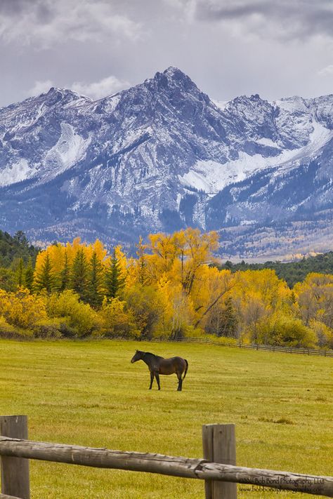 Colorado, Nature, Rocky Mountains, Horses, Wyoming, Country, Rocky Mountains Colorado, Mountain Range, Montana Mountains
