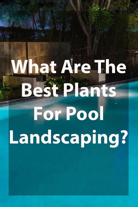 Design, Outdoor, Decoration, Inspiration, Ideas, Above Ground Pool Landscaping, In Ground Pools, Backyard Pool, Inground Pool Landscaping