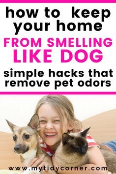 Diy, Cleaning, Dog Pee Smell, Pet Smell, Pet Odor Remover, Cleaning Hacks, Pet Odors, Dog Pee, Dog Smells