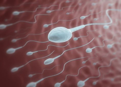 How to Boost Sperm Count Fertility, Sperm Count, Sperm Count Test, Sperm Count Increase, Sperm, Low Sperm Count, Ejaculate, Health Remedies, Remedies