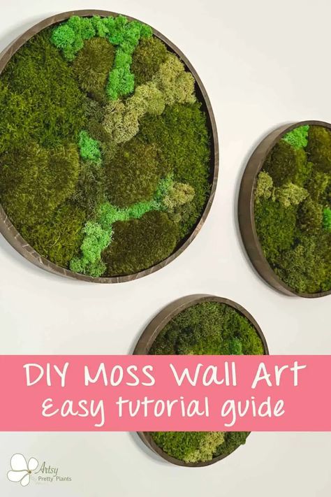 Living Wall Art, Moss Decor, Moss Wall Art, Nature Wall Decor, Moss Art, Moss Wall, Craft Stuff, Create Diy, Nature Wall