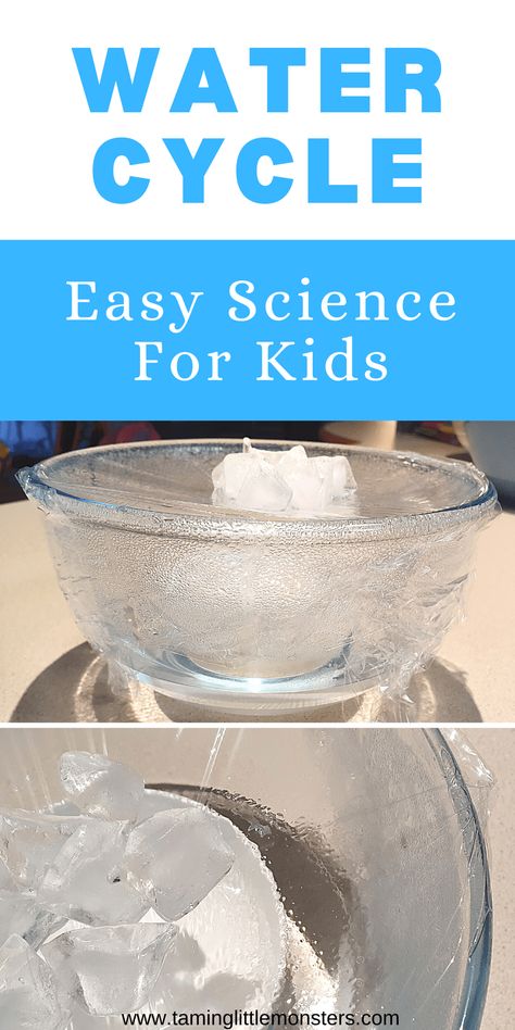 Summer, Multiplication, Montessori, Water Cycle For Kids, Water Experiments For Kids, Water Science Experiments, Water Cycle Activities, Water Cycle Experiment, Cycle For Kids