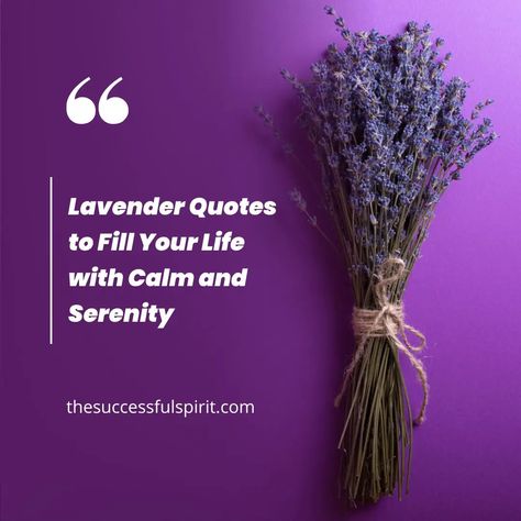 Lavender Quotes: Inspiration and Beauty in a Fragrant Flower 2 Inspiration, Gardening, Lavender Quotes, Lavender Meaning, Lavender Benefits, Tranquility, Uplift, Fragrant, Fragrant Flowers