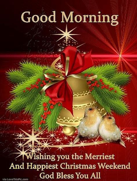 Good Morning Wishing You A Merry Happy Christmas Weekend Good Morning Christmas, Happy Christmas, Christmas Morning, Christmas Thoughts, Good Morning Wishes, Christmas Blessings, Blessings, Saturday Morning, Merry Christmas Quotes