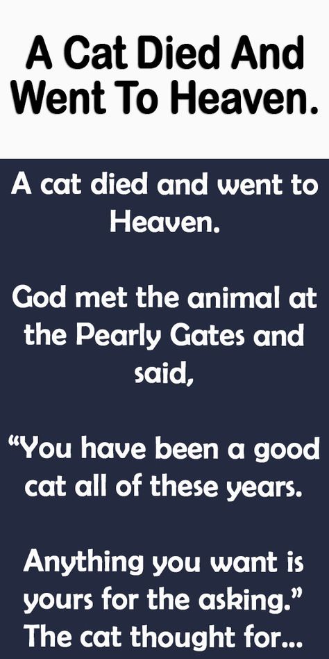 A Cat Died And Went To Heaven. – Humour, Funny Animal Quotes, Art, Cat Poems, Quotes About Cats, Sympathy Quotes, Inspirational Cat Quotes, Cat Memorial, Cat Sayings