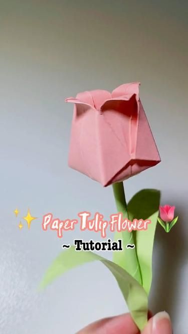 Check out this gorgeous paper tulip! Click the link in my bio for all your origami paper needs! Video credit: Lini Trinh Paper Flowers, Diy, Origami, How To Make Paper Flowers, Easy Paper Flowers, Paper Roses Diy, How To Make Flowers Out Of Paper, Paper Flowers Craft, Paper Flowers Diy Easy
