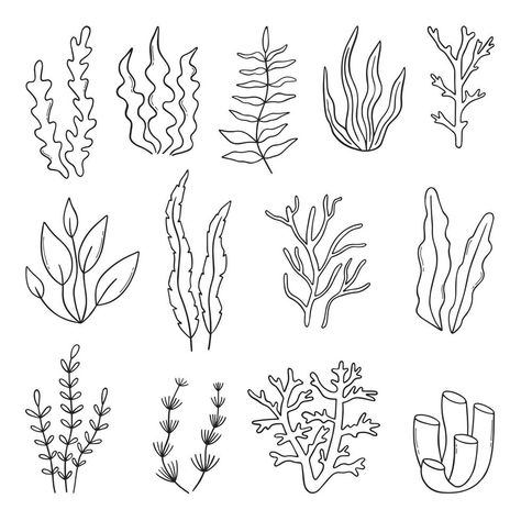 Doodles, Art, Doodle, Coral Drawing, Plant Drawing, Coral Reef Drawing, Hand Drawn Vector Illustrations, Plant Doodle, Coral Draw