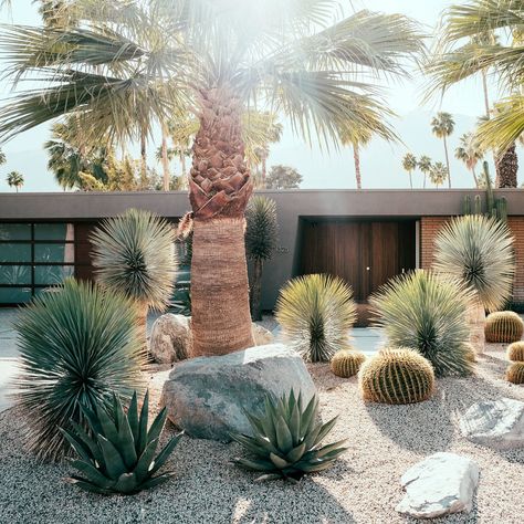 Palm Springs love - Before & After: Former Party Pad Becomes a Sleek Palm Springs Vacation Home - Sunset Back Garden Landscaping, Front Garden Landscaping, Shaded Garden, Garden Landscaping, Desert Landscaping, Backyard Landscaping, Cheap Landscaping Ideas, Yard Landscaping, Cactus Garden Landscaping