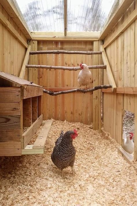 Diy Chicken Coop, Diy Chicken Coop Plans, Chicken Coop Designs, Cute Chicken Coops, Chicken Coop, Easy Chicken Coop, Chicken Coop Garden, Small Chicken Coops, Chicken Coop Run