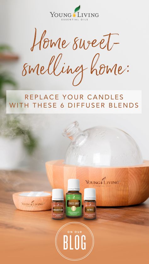 Want your home to smell sweet without harmful chemicals? Use these essential oil blends instead of candles! #diffuserblends #home #essentialoils #yleo Young Living Oils, Diy, Best Smelling Essential Oils, Essential Oil Diffuser Blends, Diffusers For Essential Oils, Diffuser Blends Young Living, Essential Oil Diffuser Recipes, Best Essential Oil Diffuser, Oil Diffuser Blends