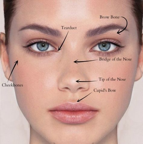 Nose Highlight, Nose Shapes, Contour Makeup, Tips For Oily Skin, Natural Toner, Face Shapes, Cheekbones Makeup, Cheekbones, Makeup Face Charts
