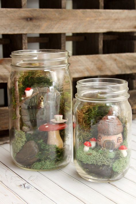Simple and Sweet Mason Jar Fairy Gardens Diy, Terrarium, Mason Jars, Mason Jar Crafts, Miniature Fairy Gardens, Crafts, Fairy Garden Crafts, Fairy Garden Diy, Fairy Jars