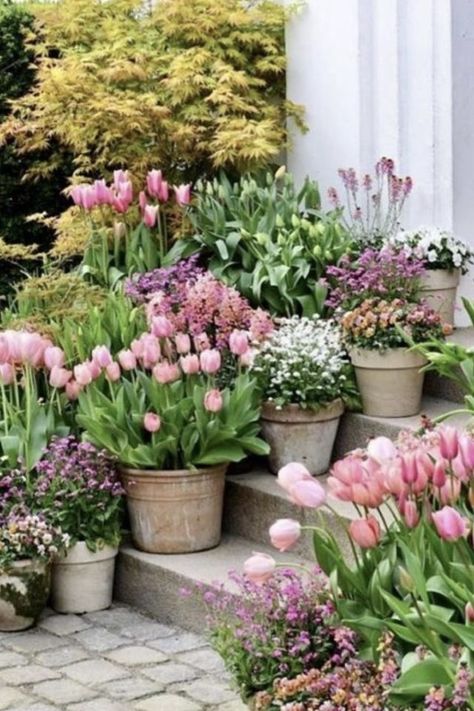 Sweet, Floral, Gard, Bunga, Flower Pots, Tuin, Garten, Flower Garden, Gorgeous Gardens